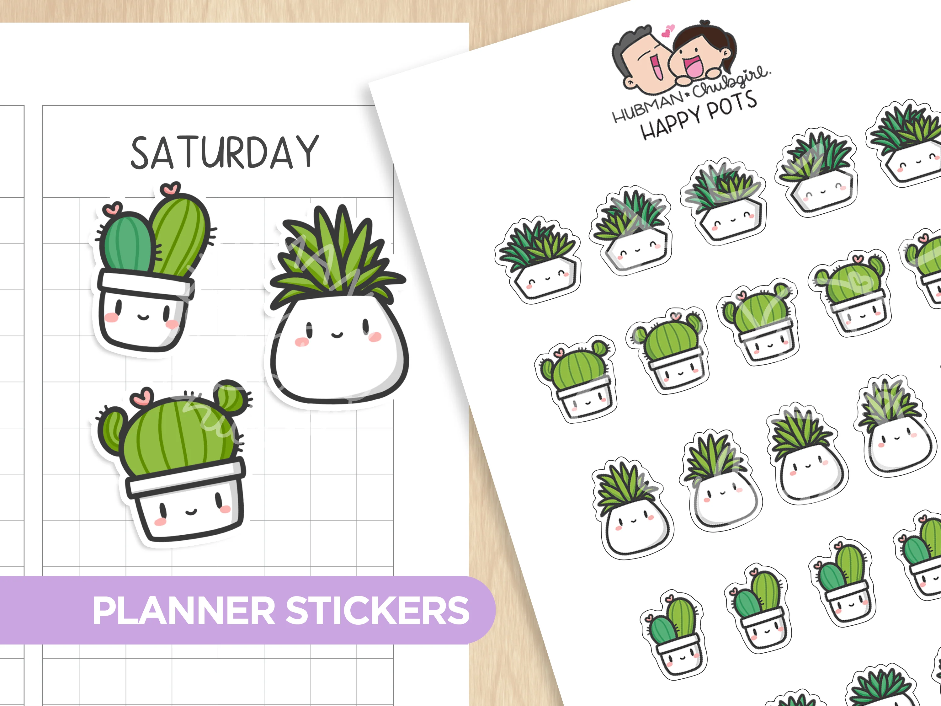 Cozy Plants Box Set - Image 11