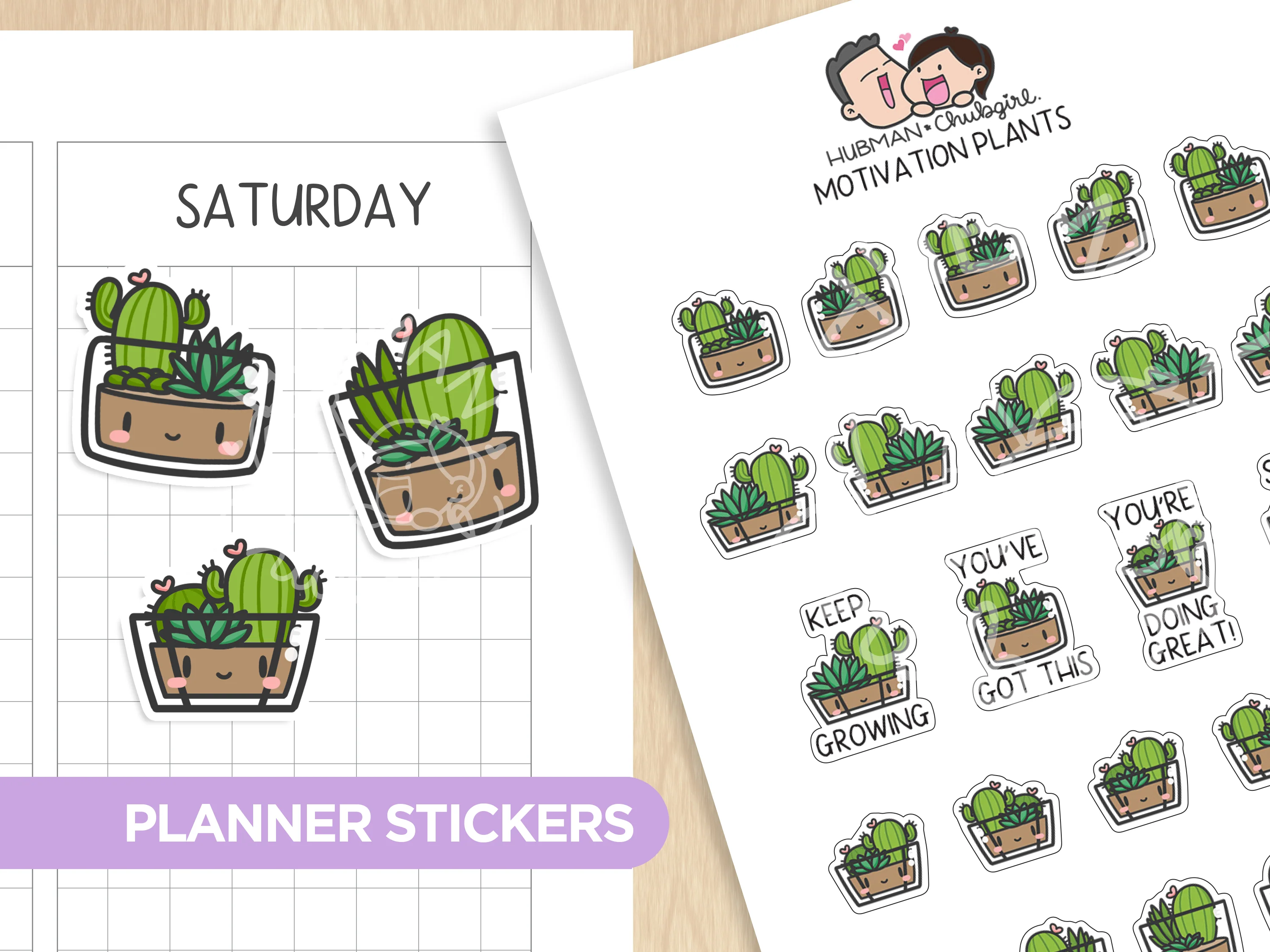 Cozy Plants Box Set - Image 12