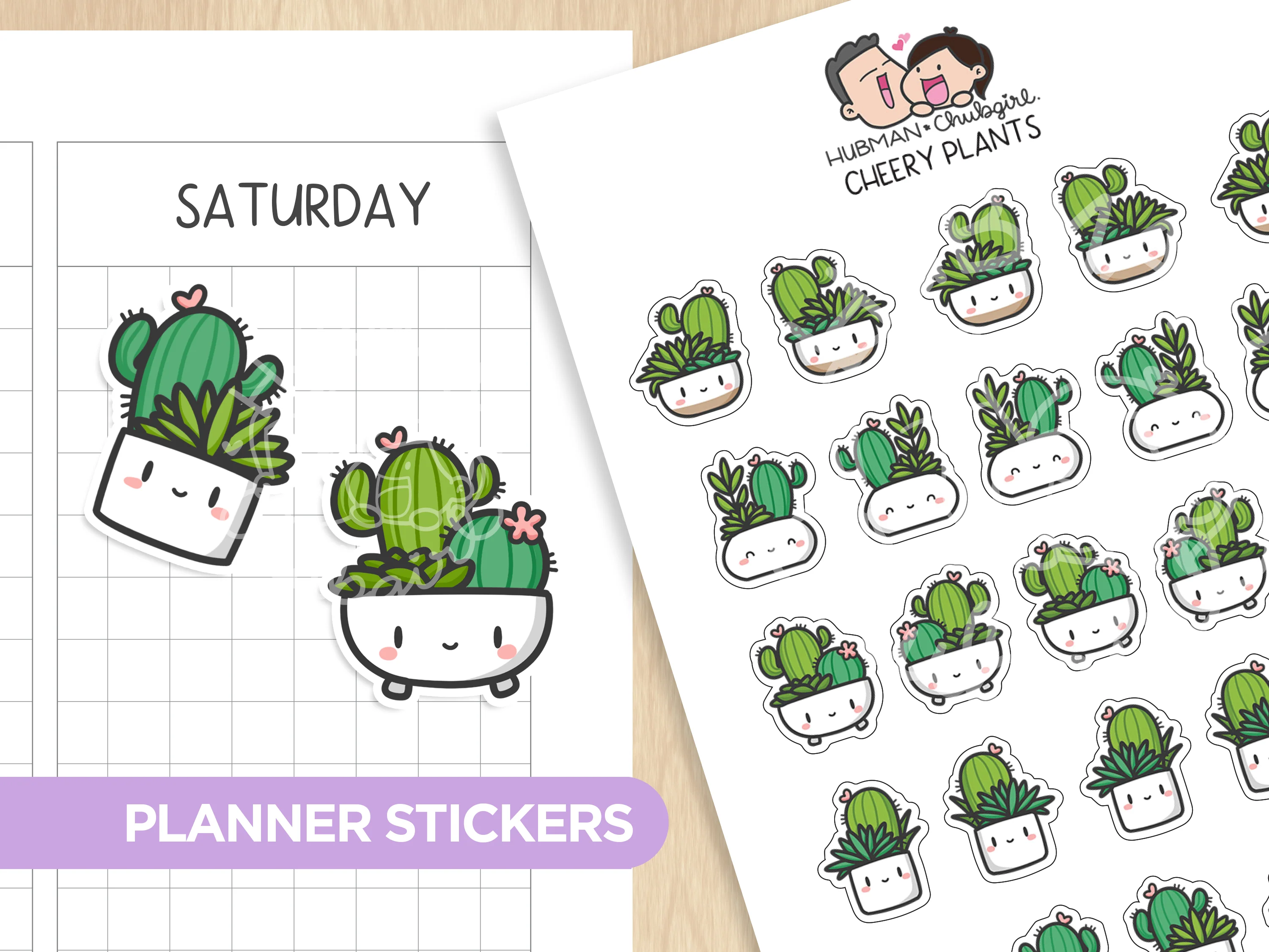 Cozy Plants Box Set - Image 14