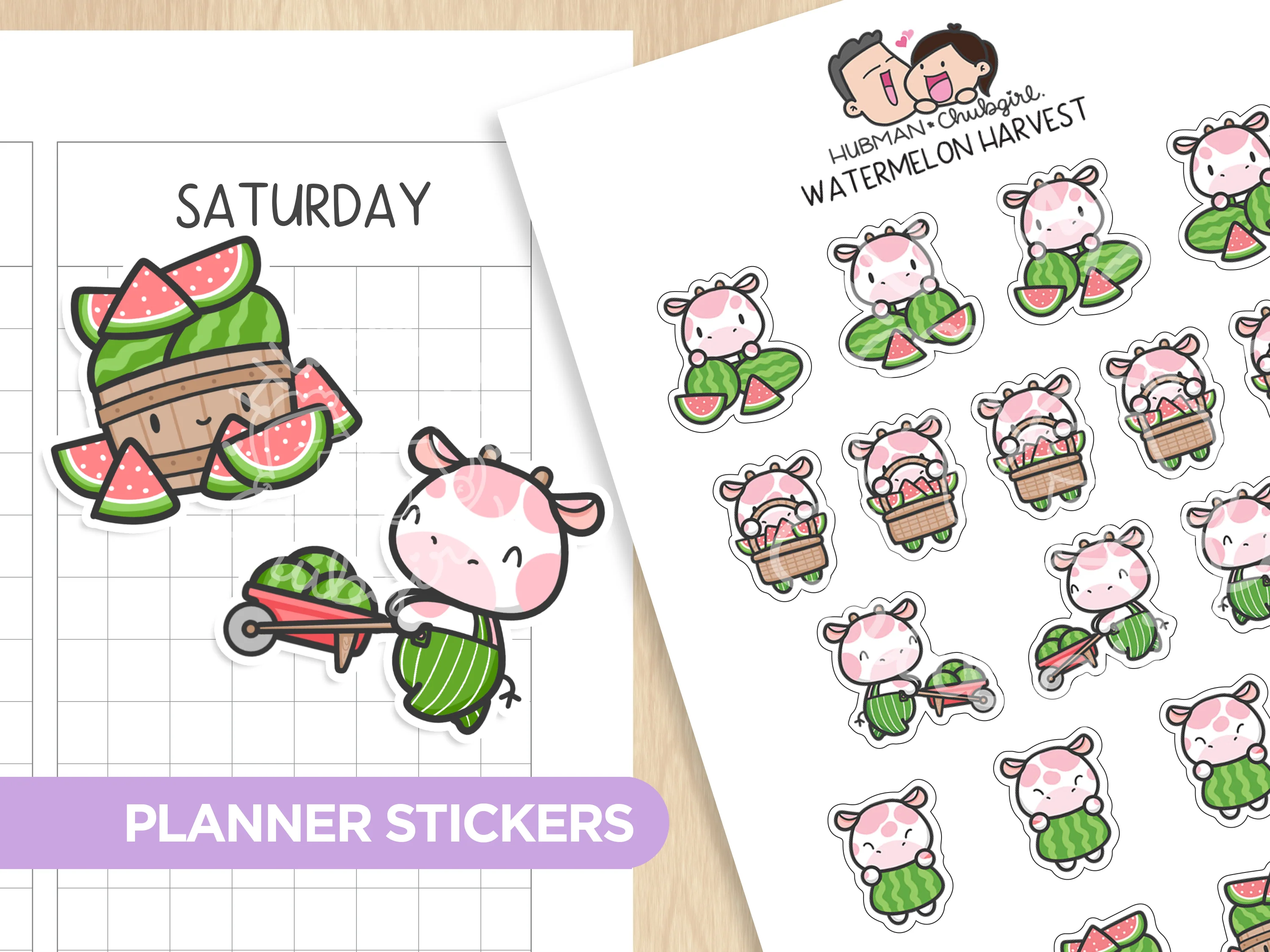 Summer Watermelon Sticker Set - Image 6